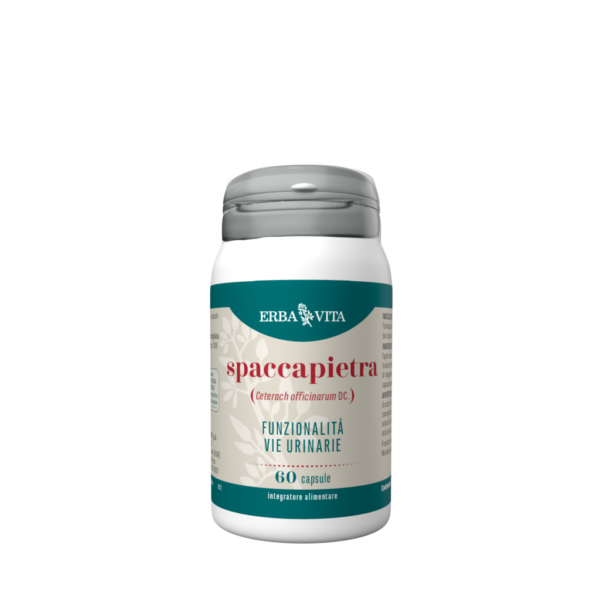 Erba Vita Spaccapietre 60 capsule