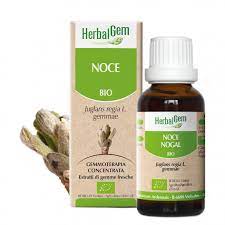 Herbalgem Gemmoderivato Noce 15 ml