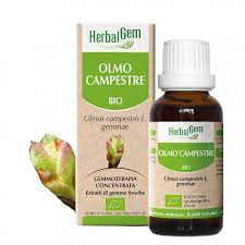 Herbalgem Gemmoderivato Olmo Campestre 15 ml