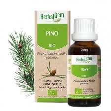 Herbalgem Gemmoderivato Pino 50 ml