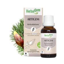 Herbalgem Artigem 50 ml