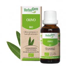 Herbalgem Gemmoderivato Olivo 15 ml