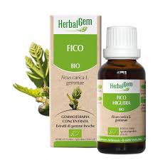 Herbalgem Gemmoderivato Fico 15 ml