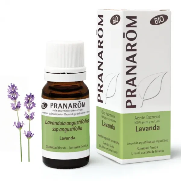 Pranarom Olio essenziale Lavanda