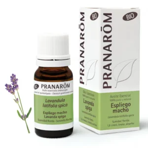 Pranarom Olio Essenziale Lavanda Spica