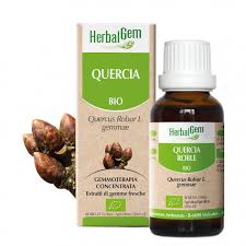 Herbalgem Gemmoderivato Quercia 50 ml