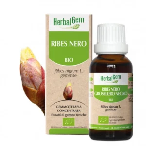 Herbalgem Ribes Nero Gemmo Concentrato 50 ml