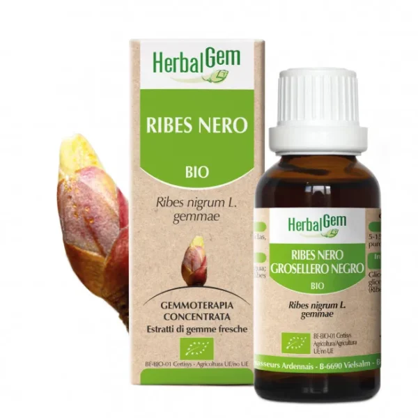 Herbalgem Ribes Nero 15 ml