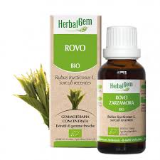 Rovo Gemmoderivato 50 ml Herbalgem