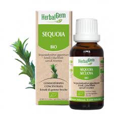 Sequoia Gemmoderivato Herbalgem