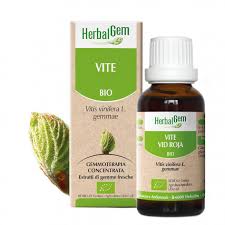 Herbalgem Gemmoderivato Vite 50 ml