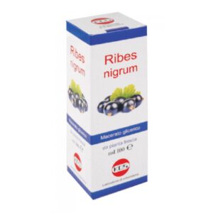 Ribes Nigrum M.G. ml 100 Kos