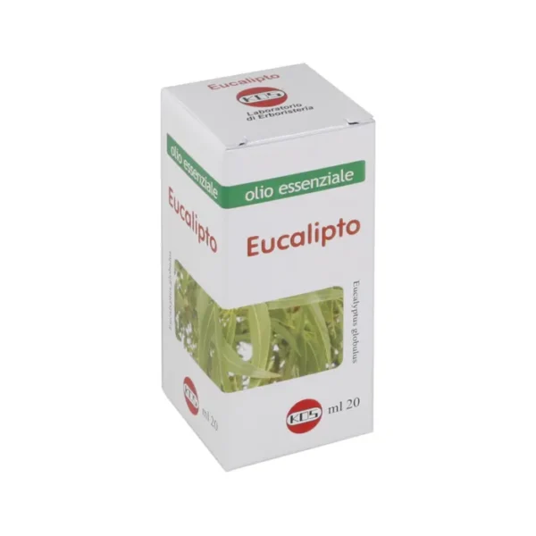 Eucalipto olio essenziale ml 20 Kos